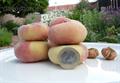 Saturn peach